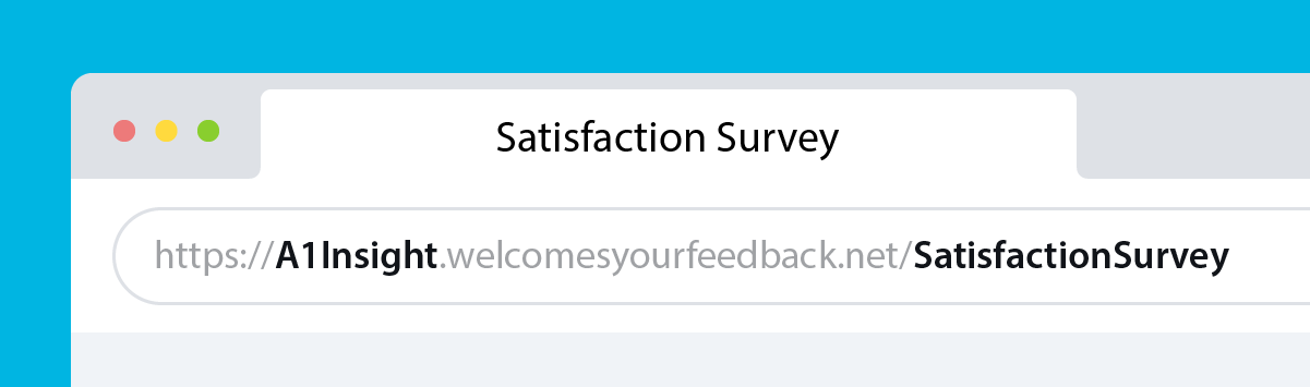 Custom survey URLs | Snap Surveys